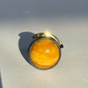 Full Moon ring med rav