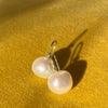 Ørebøjler med perle